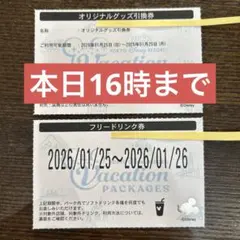 ディズニー　バケパ　フリードリンク券　オリジナルグッズ引換券セット