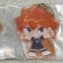 ハイキュー 一番くじ ゴミ捨て場の決戦2 G賞 日向翔陽 アクリルチャーム