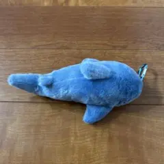 ミニ　ぬいぐるみ　サメ　シャーク