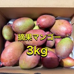 宮崎県産 摘果マンゴー 約3kg - メルカリ