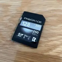 2025年最新】ProGrade Digital (プログレードデジタル) 【CFexpress