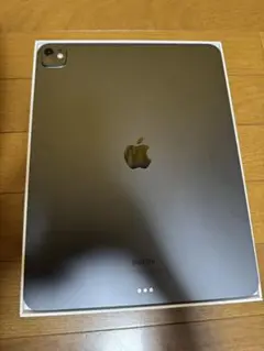 iPad Pro M4スペースグレー 本体