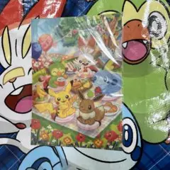 ポケモン　クリアファイル　ピクニック　メッソン　ヒバニー　サルノリ