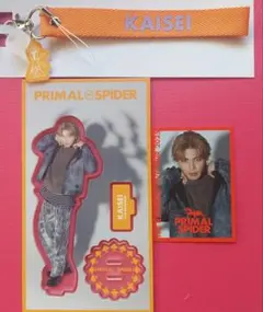 武知海青 アクリルスタンド マルチストラップ フォトカード