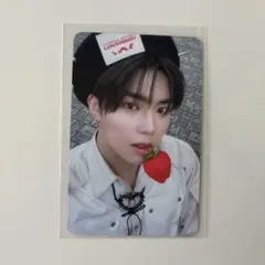 パクゴヌク　トレカ　 ZB1 ゼベワン　starriver いちご　イチゴ