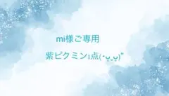 mi様専用 紫ピクミン 1点