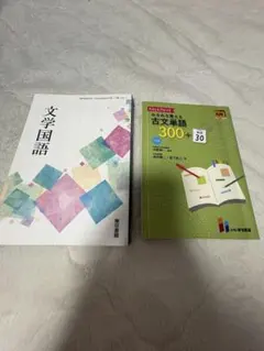 みるみる覚える古文単語300+敬語30と文学国語の2冊セット