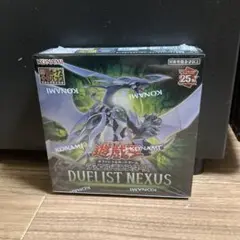 遊戯王OCG DUELIST NEXUS 25枚入り