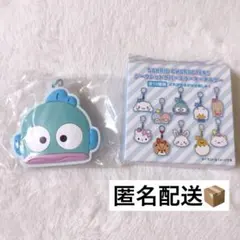 ハンギョドン シークレットラバーミラーキーホルダー