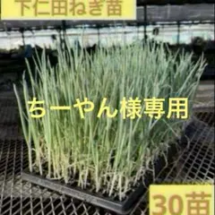 ちーやん様 リクエスト 2点 まとめ商品