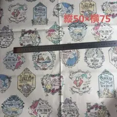 ディズニープリンセス プリント生地　ハギレ
