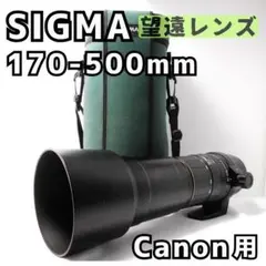 2026年最新】sigma apo 170-500mmの人気アイテム - メルカリ