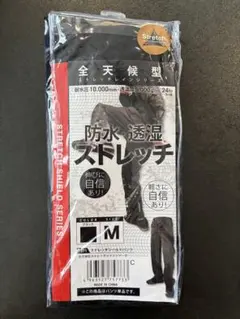 Item thumbnail for item d785a34e-cc0e-4a97-a825-5ade1308136a