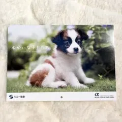 Item thumbnail for item 013b1bbb-8060-4e6e-8fff-f092d5fd94dc