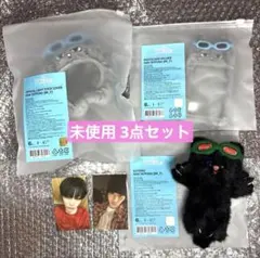 boynextdoor テサン キーリング トレカケース ペンライトカバー | Mercari