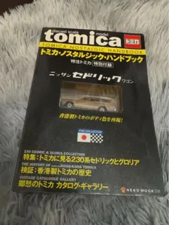 Item thumbnail for item a2e1d5f0-8bed-43c2-95b0-95c07cc2e548