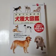 Item thumbnail for item 4e802457-dbc8-4184-8c44-7191b54f35ae