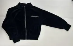 Item thumbnail for item 2e02dc03-2f68-43fe-b445-7f29170b8e2e