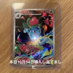 フシギソウ AR MEGA 拡張パック メガブレイブ キラ 065/063