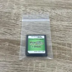 ポケモン不思議のダンジョン空の探検隊　ニンテンドーDSソフト