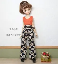 専用ページになります。