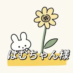 はむちゃん様 リクエスト 2点 まとめ商品