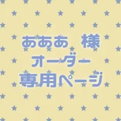 あああ様 オーダー専用ページ