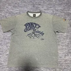 LOWE ALPINE グレー Tシャツ