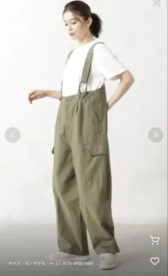 Item thumbnail for item c4e43937-16b7-4d21-862c-8ca9f8bcf7b4