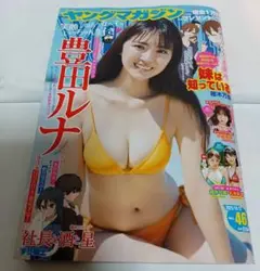 週刊ヤングマガジン　2025年46号　講談社　豊田ルナ