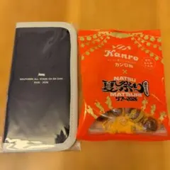 サザンオールスターズ 応援団2025-2026スリムケース桑田佳祐夏祭りカンロ飴