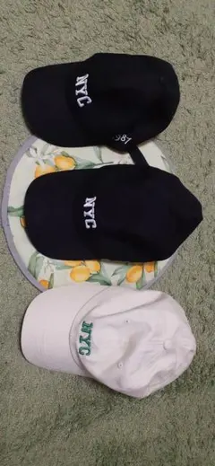 Item thumbnail for item 56cc1c9e-d2a8-479d-963b-cc871b025dfa