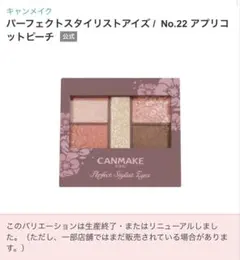キャンメイク パーフェクトスタイリストアイズ 22