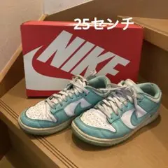 NIKE Dunk Low ミントグリーンホワイト 箱付き