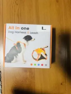 Item thumbnail for item 03fa71b9-e6d9-4944-96cc-3b8f3a44369f