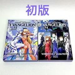 「新世紀エヴァンゲリオン 13・14巻　【プレミアム限定版】」初版・チラシ付き
