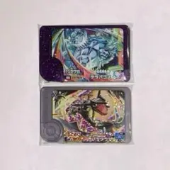 新品　ポケモンフレンダ　テラパゴス　ステラ　黒いレックウザ　ワンダー
