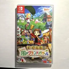 風のグランドバザール テレビゲーム