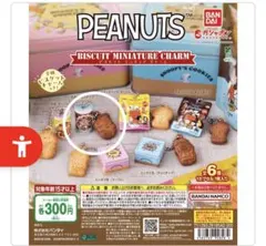 PEANUTS ビスケットミニチュアチャーム