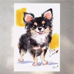 イラスト 原画 ポストカード 絵 【チワワ】253