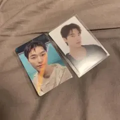 SEVENTEEN DINO トレカ