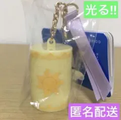 ディズニーシー　ファンタジースプリングス　ラプンツェル　ランタン　キーチェーン