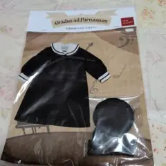 Gradus ad Parnassum 22cm 着せ替え服