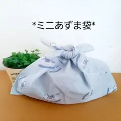 Item thumbnail for item 917bc354-4ba8-4e2b-809d-2c184a498b88