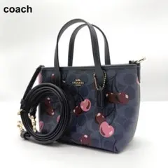 COACH バッグ 2点セット ピンク トート 花柄 ミニボストン - メルカリ