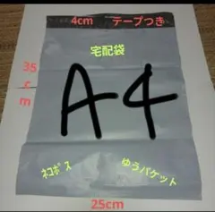 Item thumbnail for item 9477f974-c9a7-4656-9901-c89621387af3