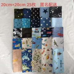 カットクロス　パッチワーク　20cm×20cm 25枚　はぎれ　男の子向き