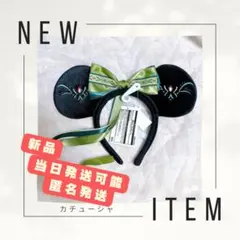 ファンタジースプリングス TDS アナ カチューシャ 未使用 タグ付き