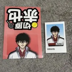 テニプリ　切原赤也　セット テニスの王子様 テニプリ 切原赤也 中国限定 アニマル 缶バッジ3点