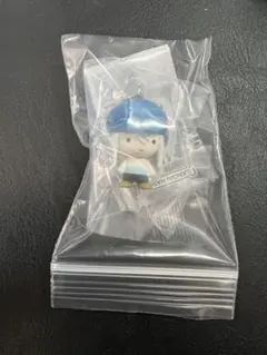 N*様 ハンターハンター　めじるしアクセサリー　カイト